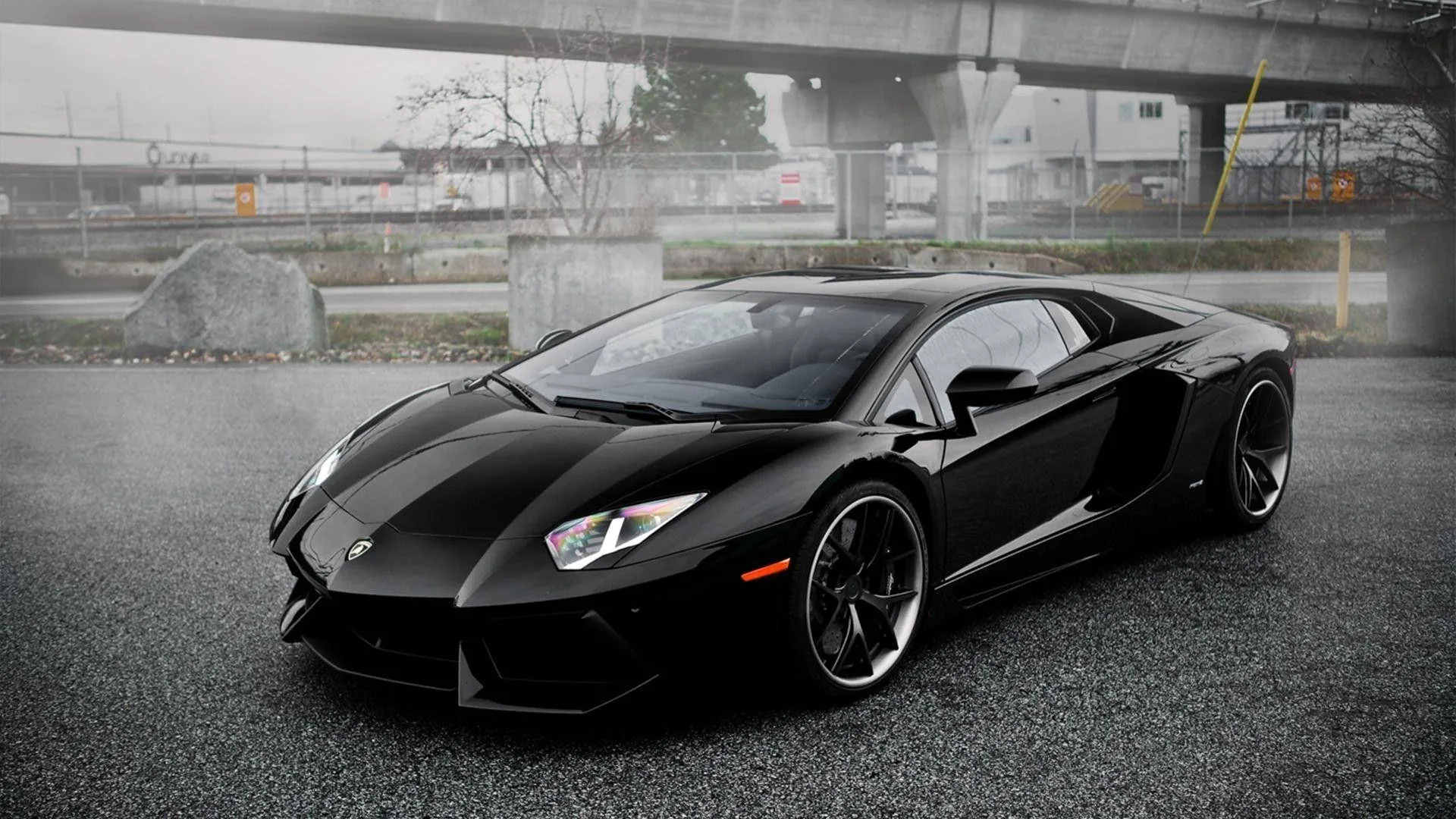 The Lamborghini sits front-quarter on wet grey asphalt with a concrete flyover and bare winter trees behind it, colour drained out of everything but the car.