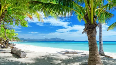 Tropical Beach Screensavers and Wallpaper