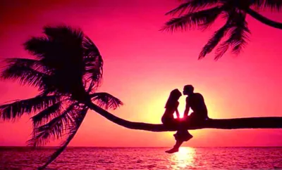 Romantic Love Wallpaper Hd 1080p Free For Whatsapp