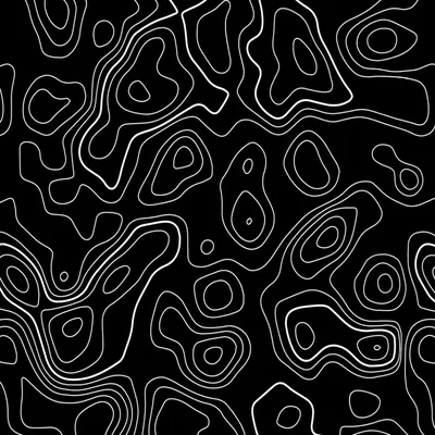 Live wallpaper Black and White Topo Wallpaper on VSThemes