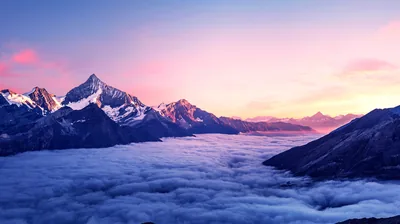 Snowy Peaks Above a Sea of Clouds HD Wallpaper