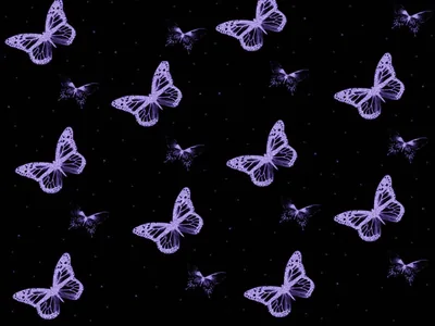 free Cute Black Purple Butterfly Pattern Wallpaper