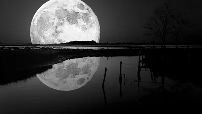 Black Aesthetic Wallpapers Black