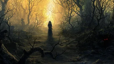 HD Dark Fantasy Enigmatic Shadows in a Haunted Forest