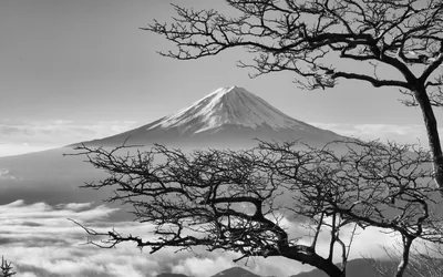 Mount Fuji in Black and White HD Wallpaper