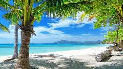 Beach 4K Wallpapers Beach 4K Backgrounds