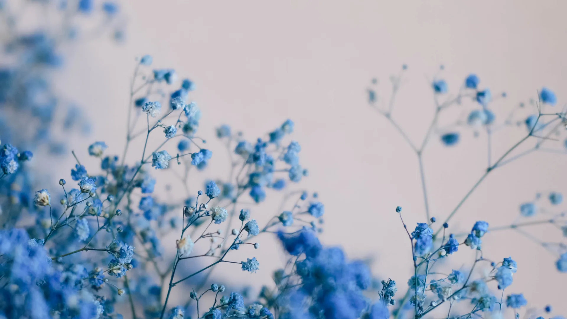 Blue Computer Wallpapers 4k, HD Backgrounds
