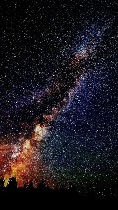Galaxy Core Rising Over a Treeline HD Phone Wallpaper