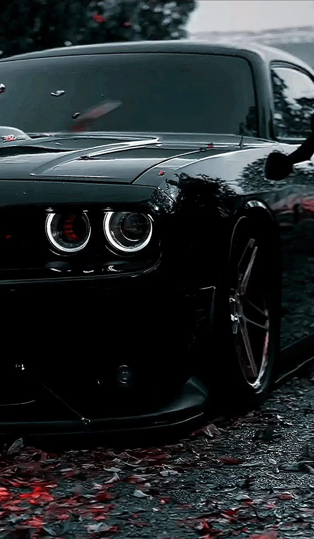 car aesthetic car aesthetic interior Luxury cars inside the car