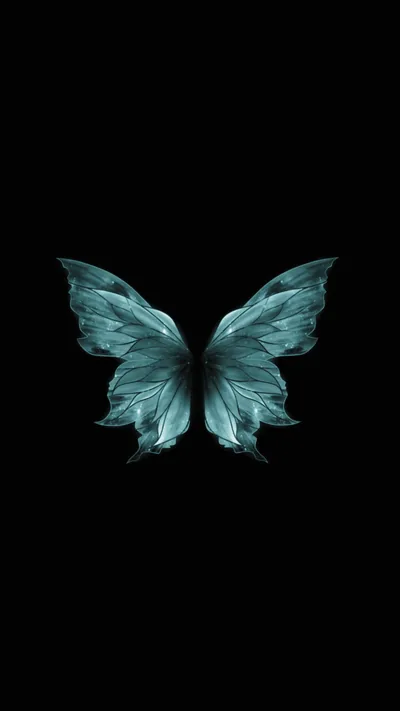 Black Butterfly Aesthetic Background