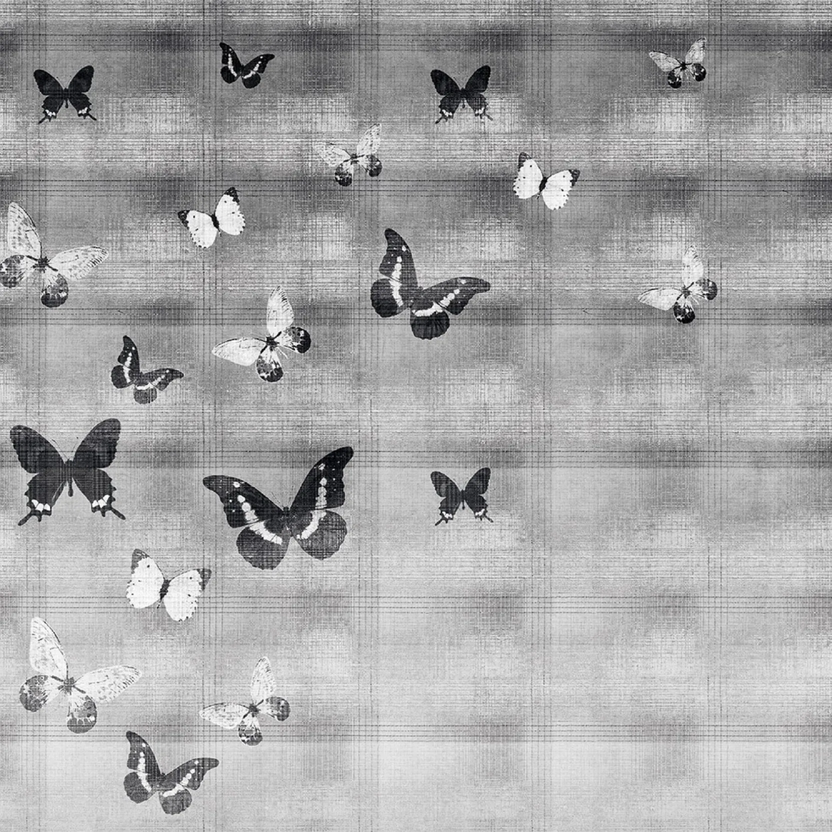 LONDON ART MADAMA BUTTERFLY WALLPAPER