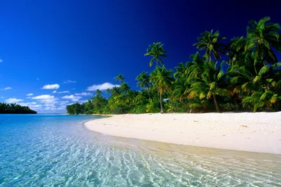Beach HD Wallpaper