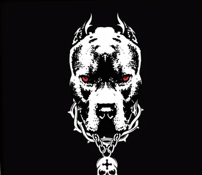 Black Wallpaper Bad Boy Background