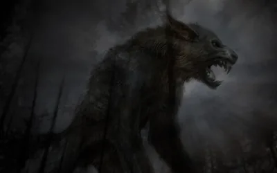Black Wolf Wallpapers