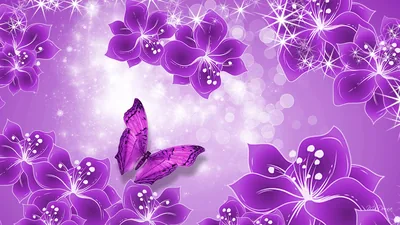 Purple Wallpaper HD