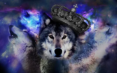 Cool Wolf Backgrounds images