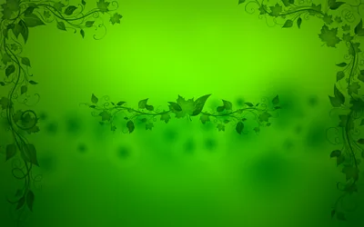 Image Green Wallpapers Green Images