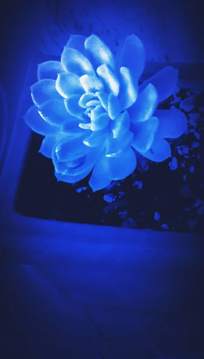 wallpaper aesthetic blue Aesthetic blue dark cool wallpapers wallpaper