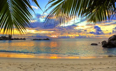 Beach Wallpaper