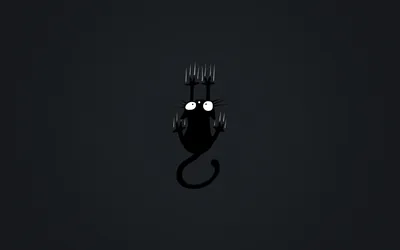 Tiny Cat Clinging to a Grey Wall HD Wallpaper