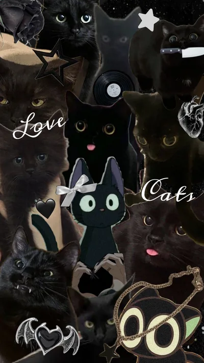 Black cats #