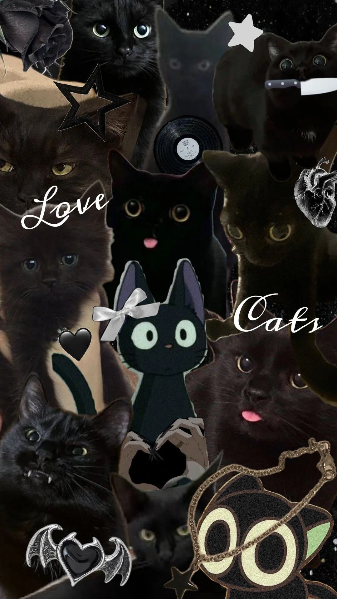 Black cats