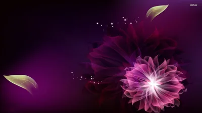 Glowing Magenta Flower on Purple HD Wallpaper