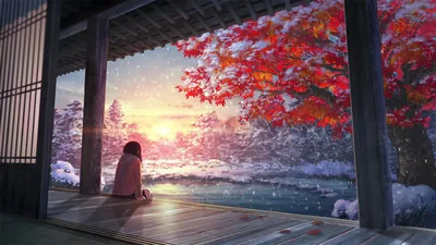 Snowy Red Maple from a Temple Porch HD Wallpaper