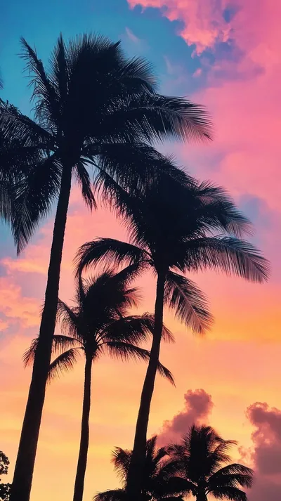 Palm Silhouettes on a Cotton Candy Sky HD Phone Wallpaper