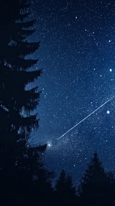 Shooting Star Beside a Spruce Silhouette HD Phone Wallpaper