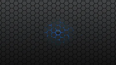 Dark Hexagon Mesh with Blue Cells HD Wallpaper