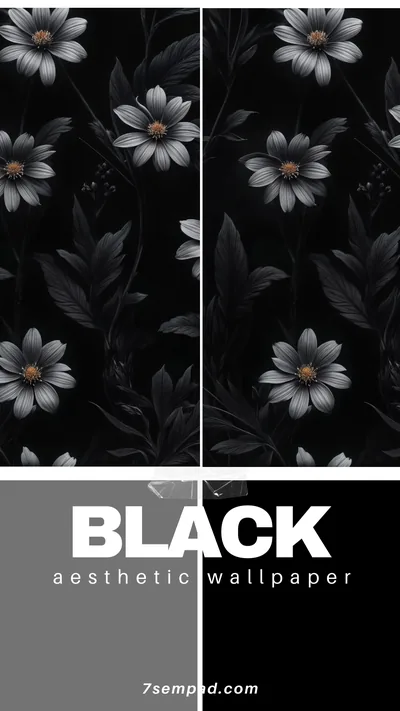 Black aesthetic wallpaper 4k ideas