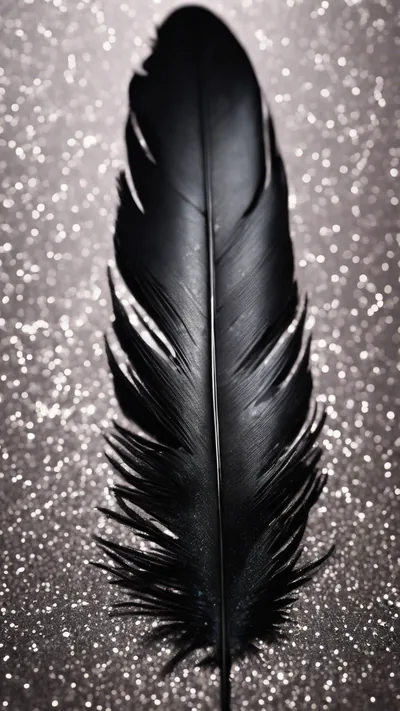 A black feather coated in black glitter Wallpaper HD