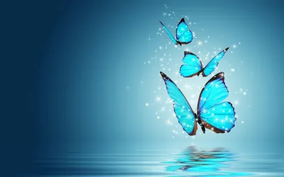 Butterfly Blue Abstract Wallpapers Butterfly Blue Abstract