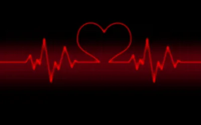 Heartbeat Line Forming a Heart HD Wallpaper