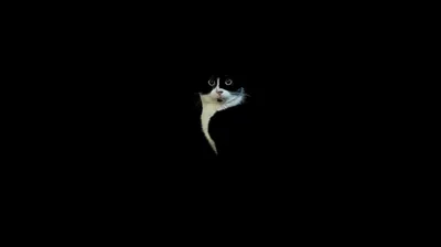 Small White Flame on Black HD Wallpaper