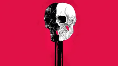 Split Black and White Skull on Red HD Wallpaper