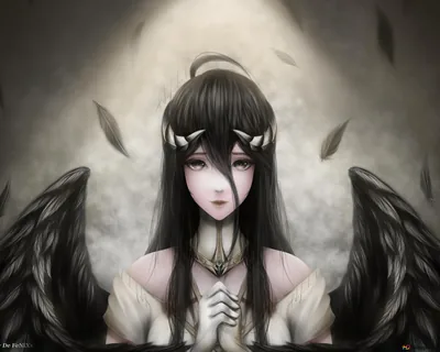 Black Angel Anime Wallpaper