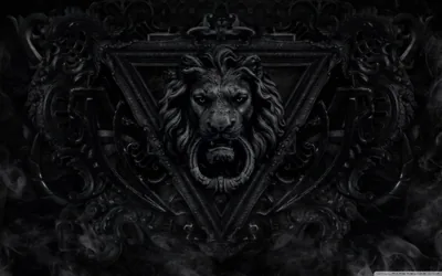 Carved Lion Head in Dark Relief HD Wallpaper