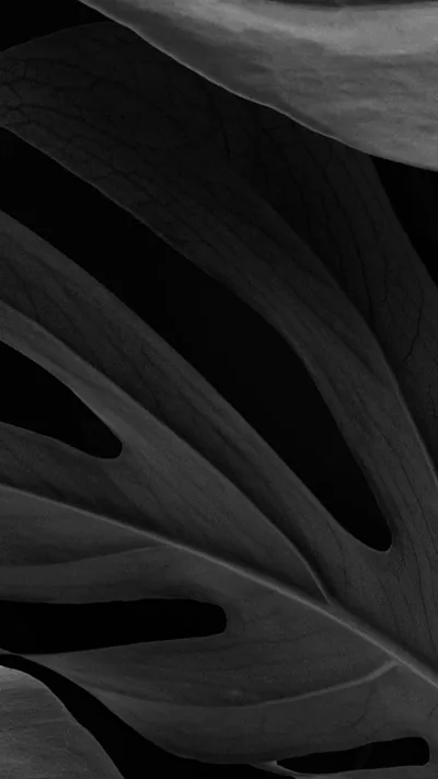 Black High Resolution Iphone Wallpaper Images