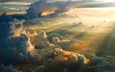 Light Rays over a Cloud Sea HD Wallpaper
