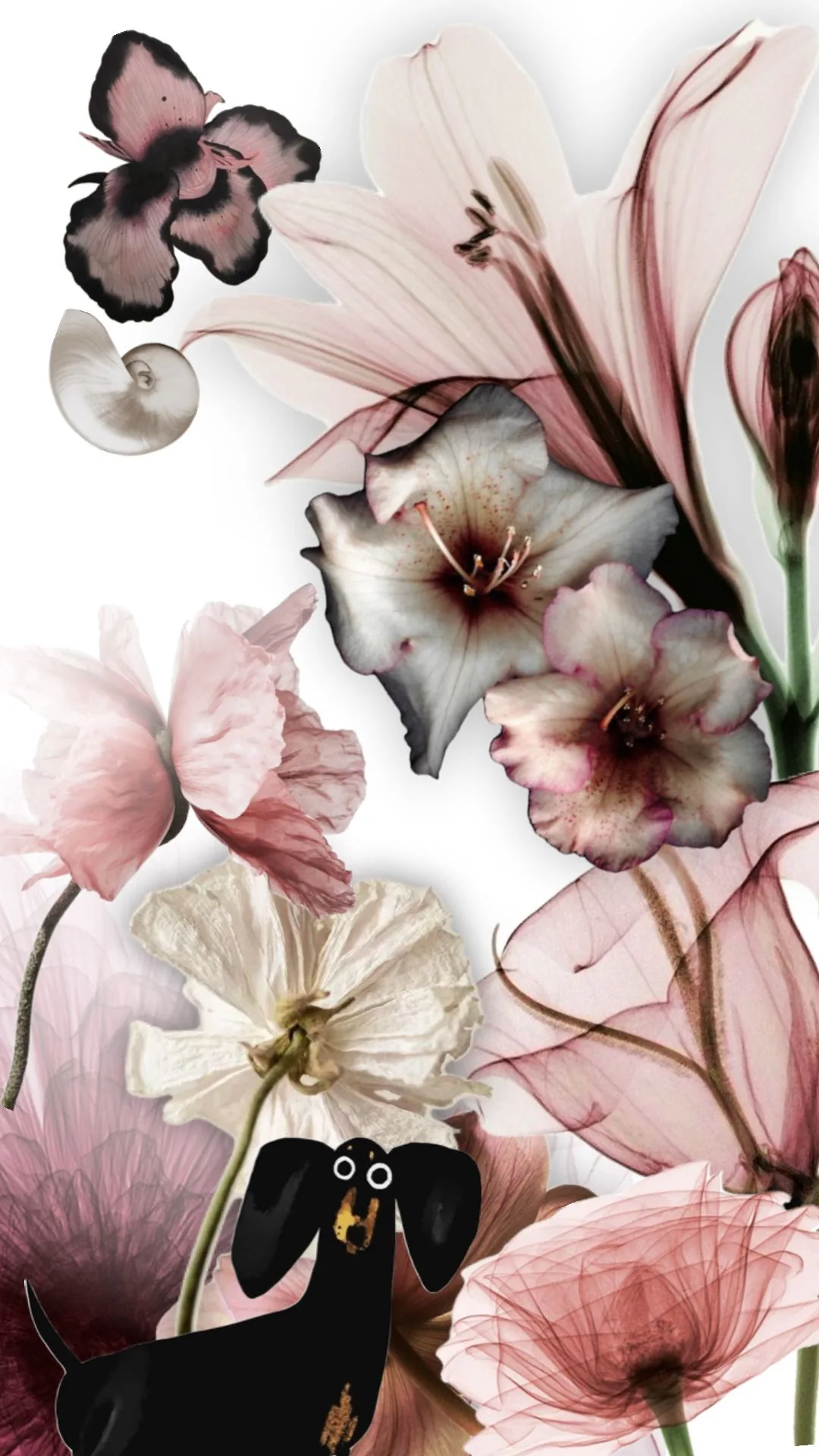 Pin Mangubat on wallpaper