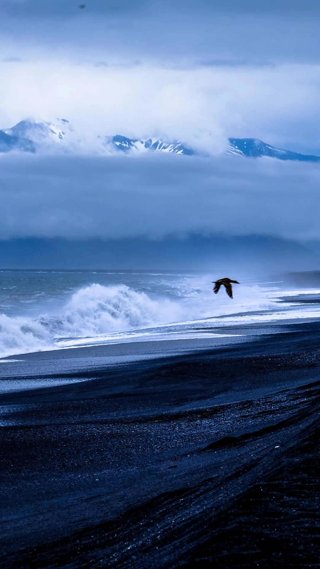 A lone bird glides low over surf breaking on black volcanic sand, with snow-covered peaks half lost in cloud behind.