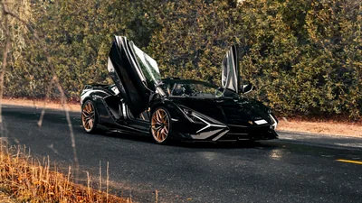 Lamborghini Sian Roadster with Doors Up HD Wallpaper