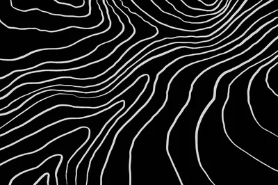 Flowing White Contour Lines on Black HD Wallpaper