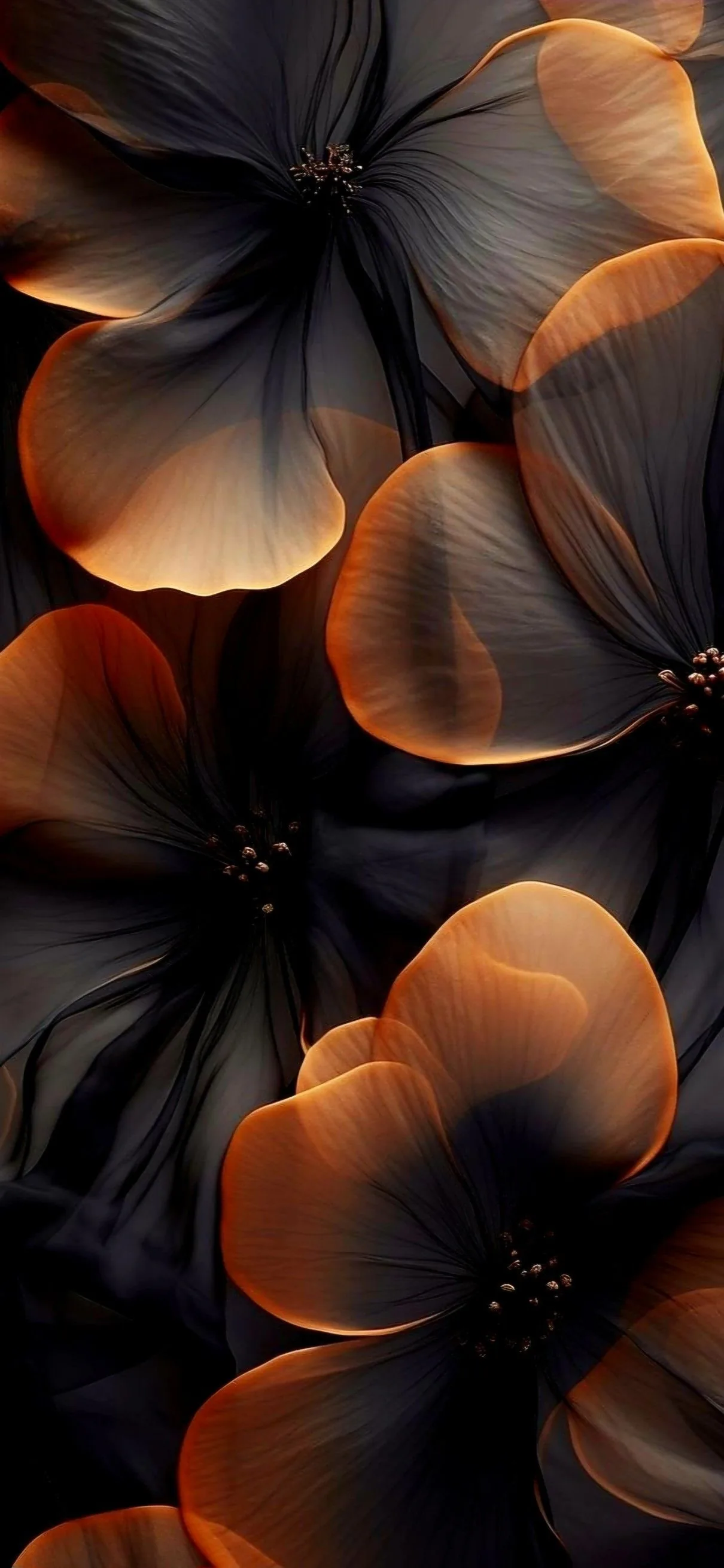 Pin on iPhone Wallpapers Háttérképek