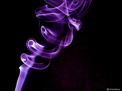 Free photo Purple smoke Abstract, Black, Burn Jooinn