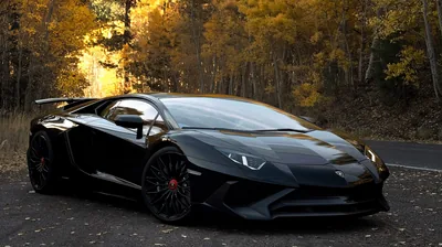 Black Supercar in Autumn Woodland HD Wallpaper