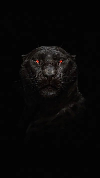 Baby Black Panther Wallpaper