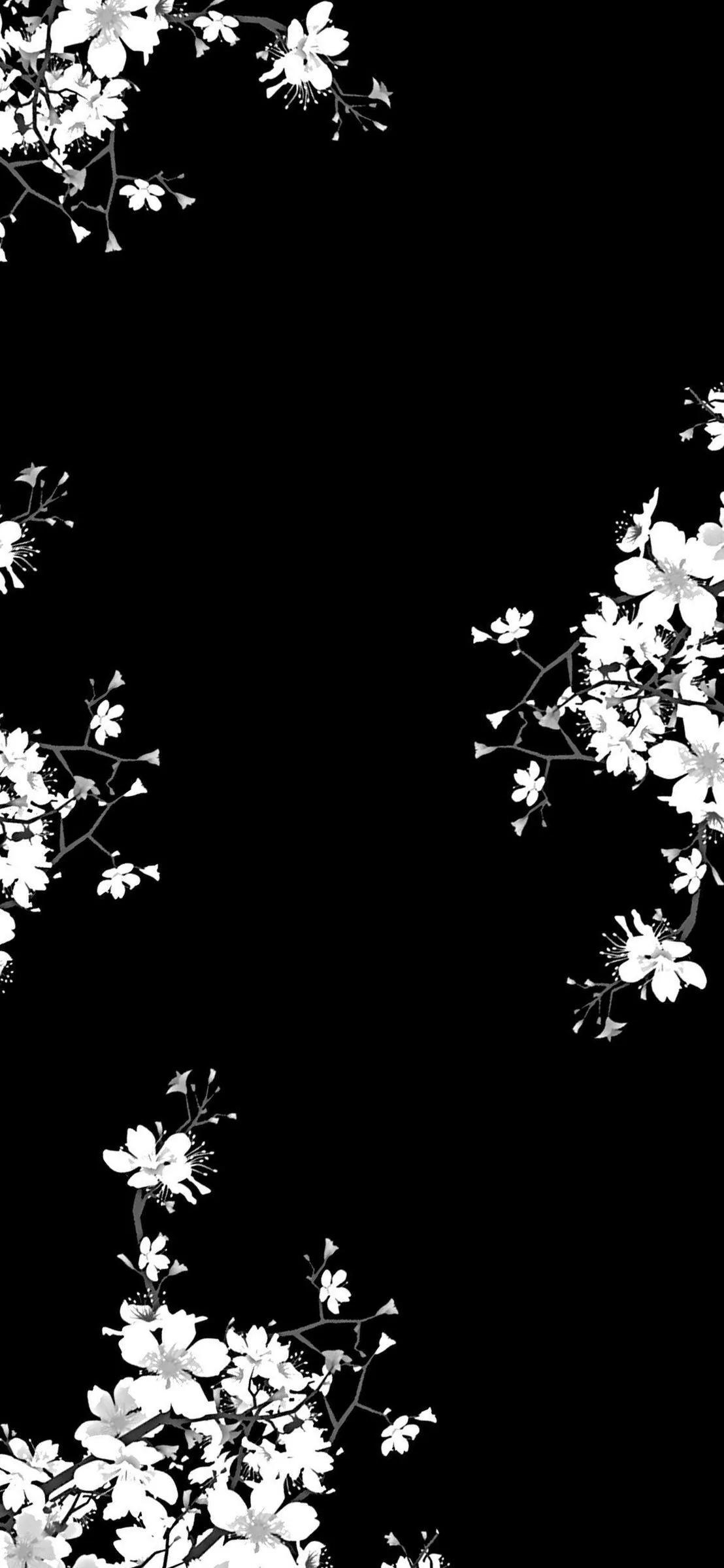 Black and White Flowers Wallpaper